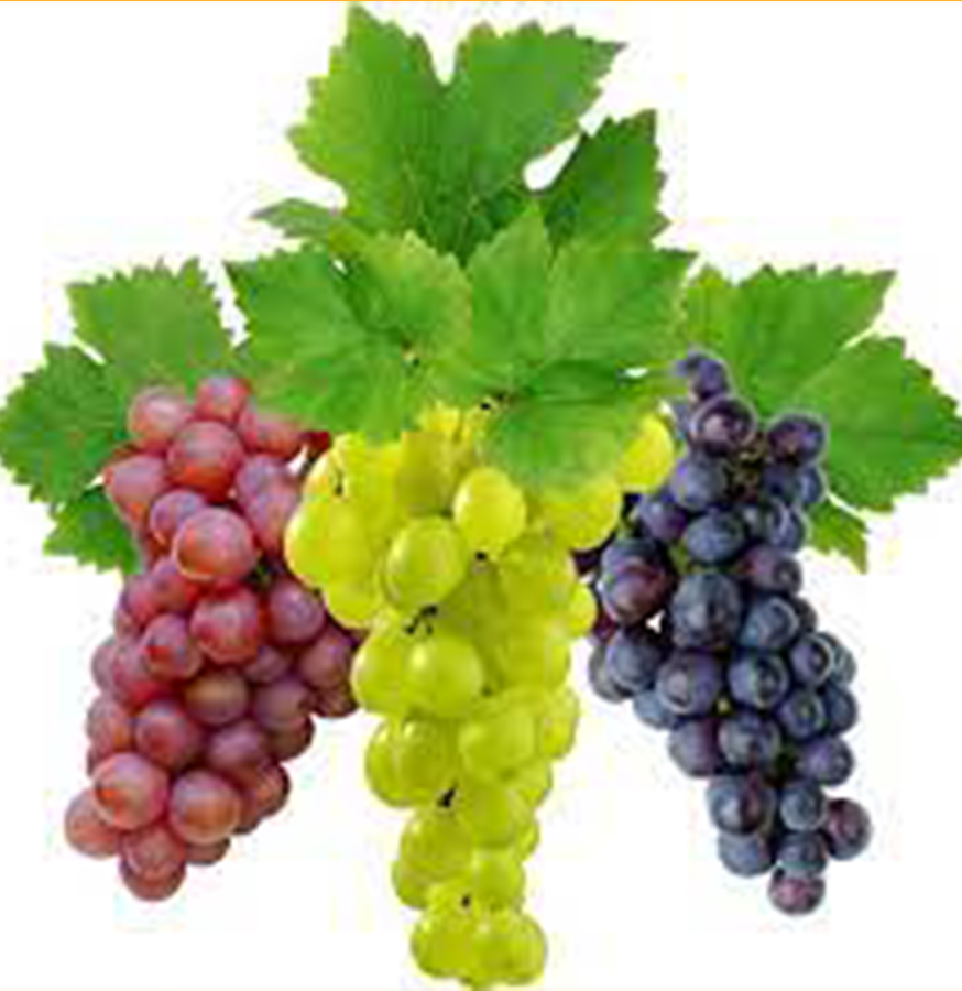 Grapes